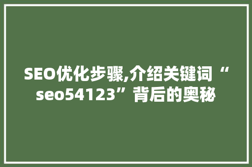 SEO优化步骤,介绍关键词“seo54123”背后的奥秘