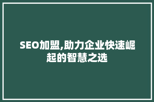 SEO加盟,助力企业快速崛起的智慧之选