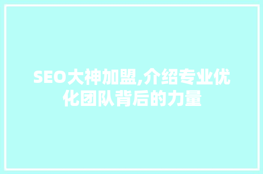 SEO大神加盟,介绍专业优化团队背后的力量