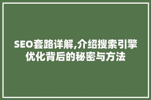 SEO套路详解,介绍搜索引擎优化背后的秘密与方法