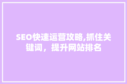SEO快速运营攻略,抓住关键词，提升网站排名