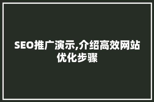 SEO推广演示,介绍高效网站优化步骤