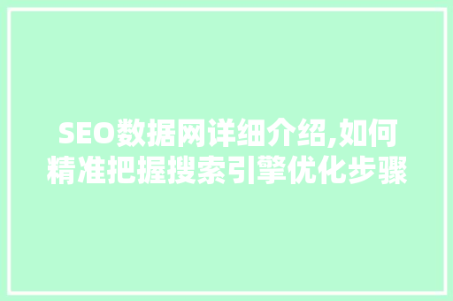 SEO数据网详细介绍,如何精准把握搜索引擎优化步骤