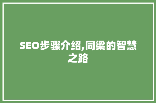 SEO步骤介绍,同梁的智慧之路