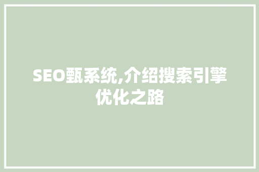 SEO甄系统,介绍搜索引擎优化之路