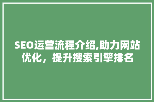 SEO运营流程介绍,助力网站优化，提升搜索引擎排名