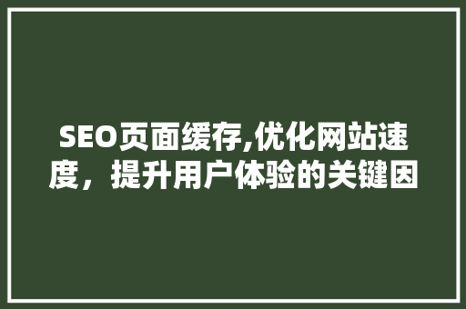 SEO页面缓存,优化网站速度，提升用户体验的关键因素