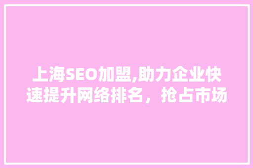 上海SEO加盟,助力企业快速提升网络排名，抢占市场先机