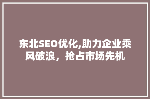 东北SEO优化,助力企业乘风破浪，抢占市场先机