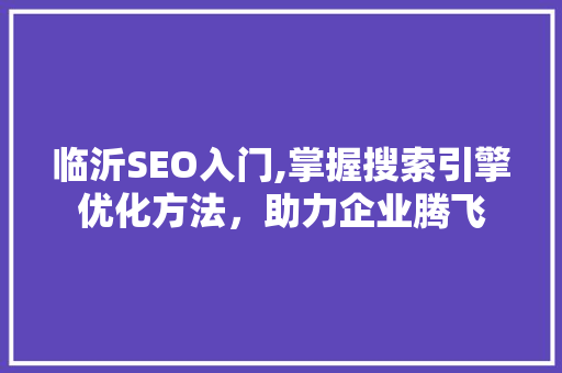 临沂SEO入门,掌握搜索引擎优化方法，助力企业腾飞