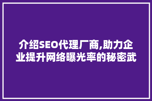介绍SEO代理厂商,助力企业提升网络曝光率的秘密武器