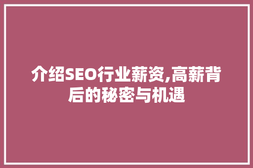 介绍SEO行业薪资,高薪背后的秘密与机遇