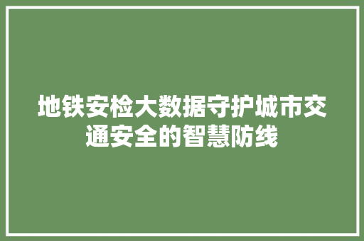 地铁安检大数据守护城市交通安全的智慧防线  第1张
