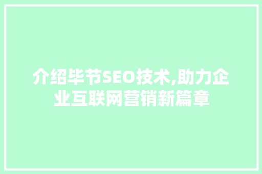 介绍毕节SEO技术,助力企业互联网营销新篇章