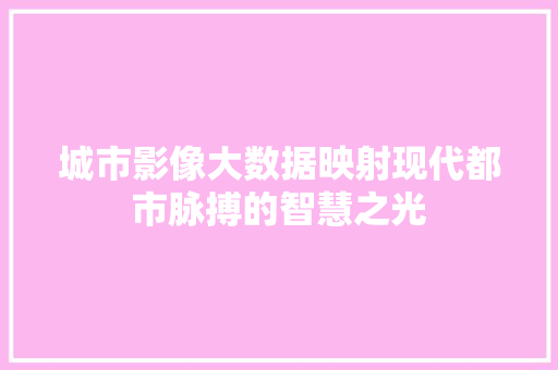 城市影像大数据映射现代都市脉搏的智慧之光  第1张