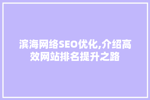 滨海网络SEO优化,介绍高效网站排名提升之路