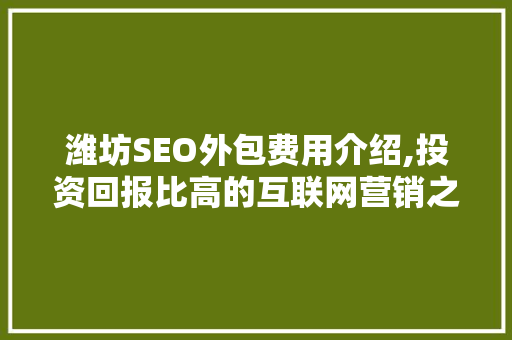 潍坊SEO外包费用介绍,投资回报比高的互联网营销之路