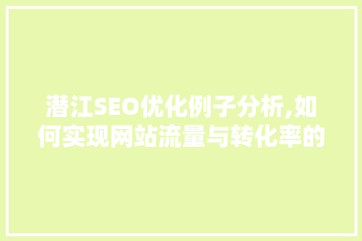 潜江SEO优化例子分析,如何实现网站流量与转化率的飞跃