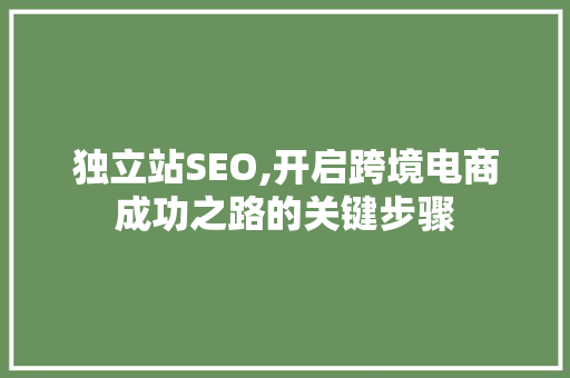 独立站SEO,开启跨境电商成功之路的关键步骤