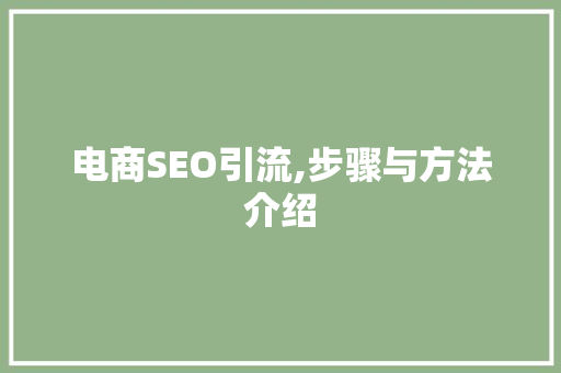 电商SEO引流,步骤与方法介绍