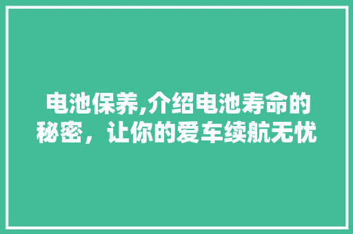 电池保养,介绍电池寿命的秘密，让你的爱车续航无忧