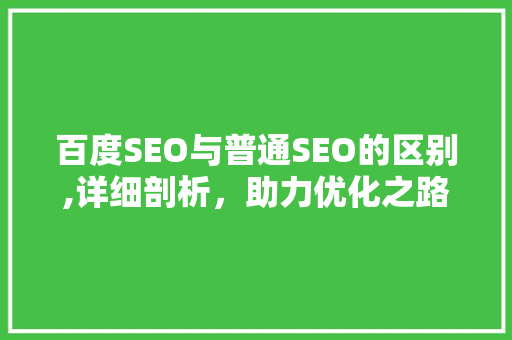 百度SEO与普通SEO的区别,详细剖析，助力优化之路