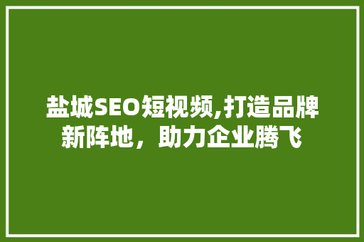 盐城SEO短视频,打造品牌新阵地，助力企业腾飞