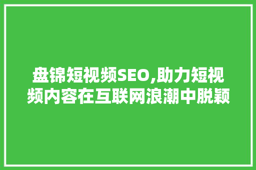 盘锦短视频SEO,助力短视频内容在互联网浪潮中脱颖而出