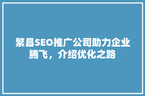 繁昌SEO推广公司助力企业腾飞，介绍优化之路  第1张