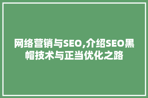 网络营销与SEO,介绍SEO黑帽技术与正当优化之路