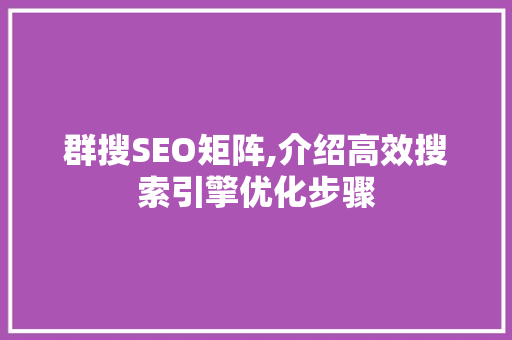 群搜SEO矩阵,介绍高效搜索引擎优化步骤