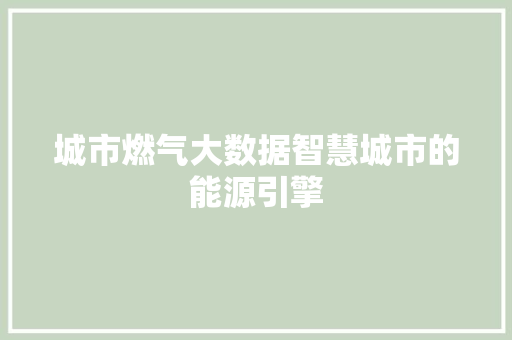 城市燃气大数据智慧城市的能源引擎