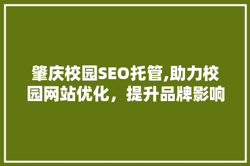肇庆校园SEO托管,助力校园网站优化，提升品牌影响力