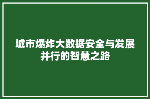 城市爆炸大数据安全与发展并行的智慧之路  第1张