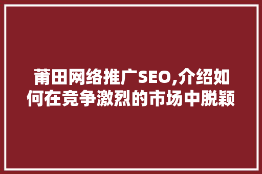 莆田网络推广SEO,介绍如何在竞争激烈的市场中脱颖而出