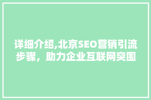 详细介绍,北京SEO营销引流步骤，助力企业互联网突围  第1张