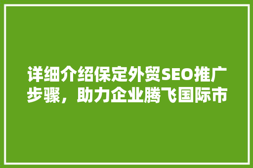 详细介绍保定外贸SEO推广步骤，助力企业腾飞国际市场