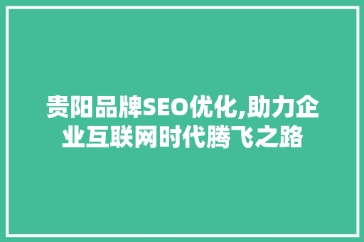 贵阳品牌SEO优化,助力企业互联网时代腾飞之路