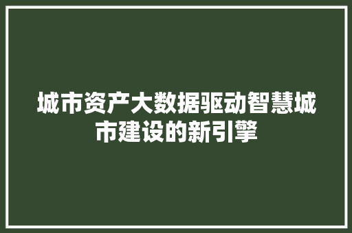 城市资产大数据驱动智慧城市建设的新引擎  第1张