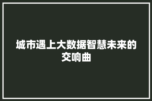 城市遇上大数据智慧未来的交响曲  第1张