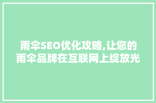 雨伞SEO优化攻略,让您的雨伞品牌在互联网上绽放光彩