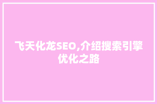 飞天化龙SEO,介绍搜索引擎优化之路