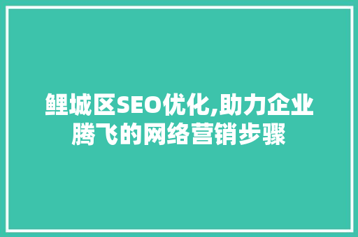 鲤城区SEO优化,助力企业腾飞的网络营销步骤