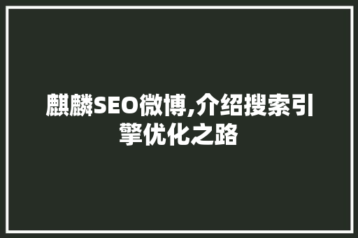 麒麟SEO微博,介绍搜索引擎优化之路