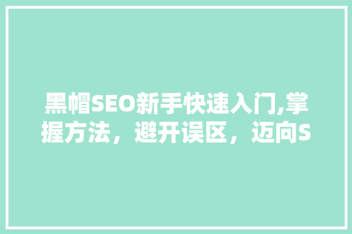 黑帽SEO新手快速入门,掌握方法，避开误区，迈向SEO推广成功之路