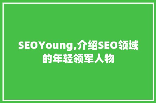 SEOYoung,介绍SEO领域的年轻领军人物