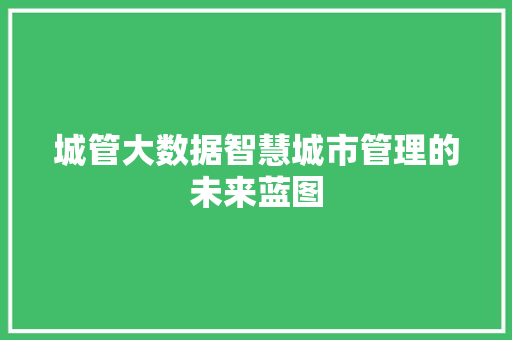 城管大数据智慧城市管理的未来蓝图