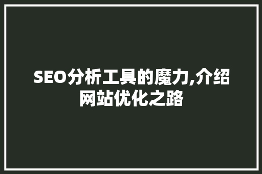 SEO分析工具的魔力,介绍网站优化之路