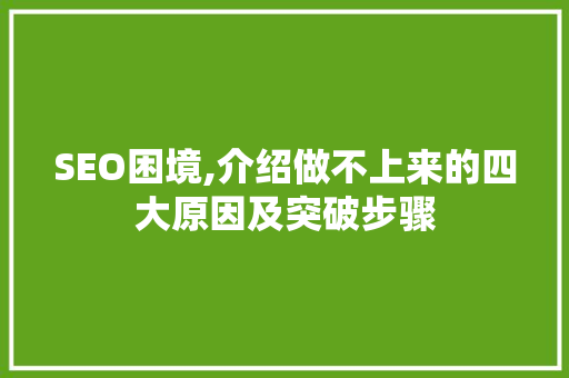 SEO困境,介绍做不上来的四大原因及突破步骤