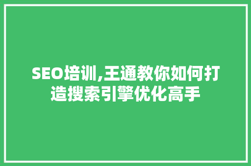 SEO培训,王通教你如何打造搜索引擎优化高手  第1张